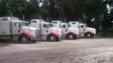 White Flatbed Trucks